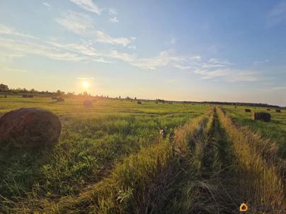 земельный участок, 15 соток