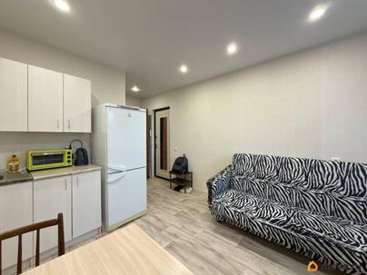 студия, 17 м&sup2;