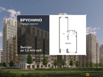 свободного назначения, 67.3 м&sup2;
