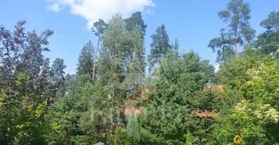 земельный участок, 30 соток
