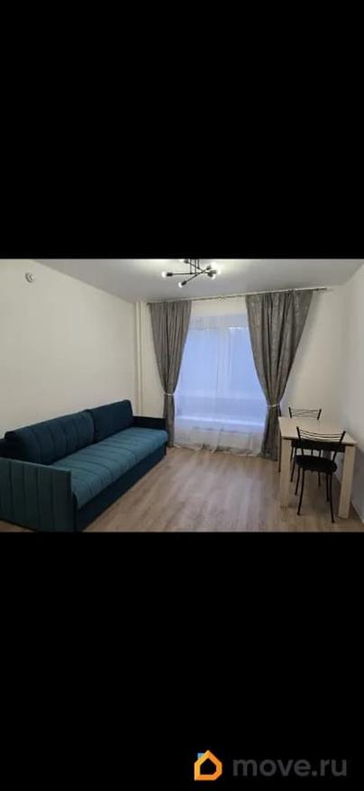 студия, 19.5 м&sup2;