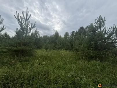 коммерческий участок, 17.23 сотки