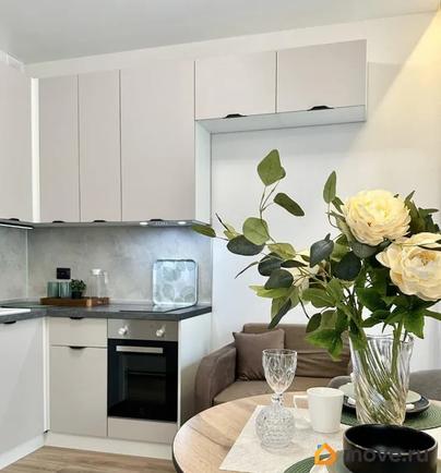студия, 23.7 м&sup2;